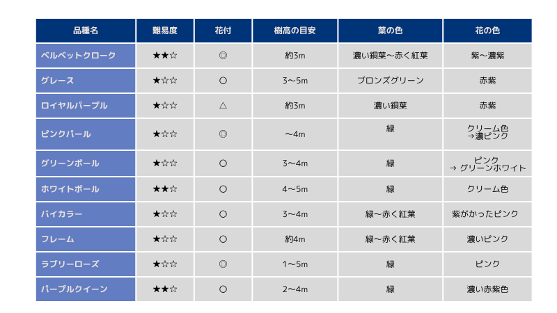 スモークツリー中型・大型品種一覧表