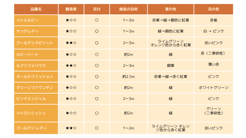 スモークツリー小型・矮性品種一覧表