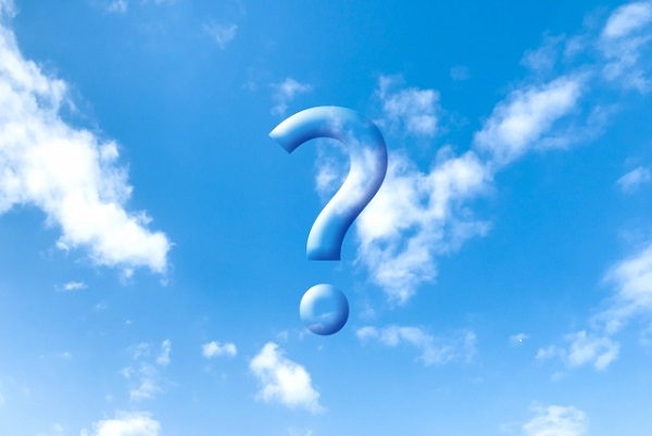 管理が楽な中高木:管理が楽とは?